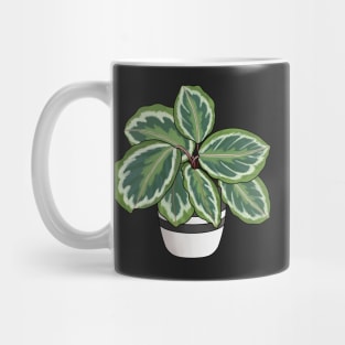 Calathea Mug